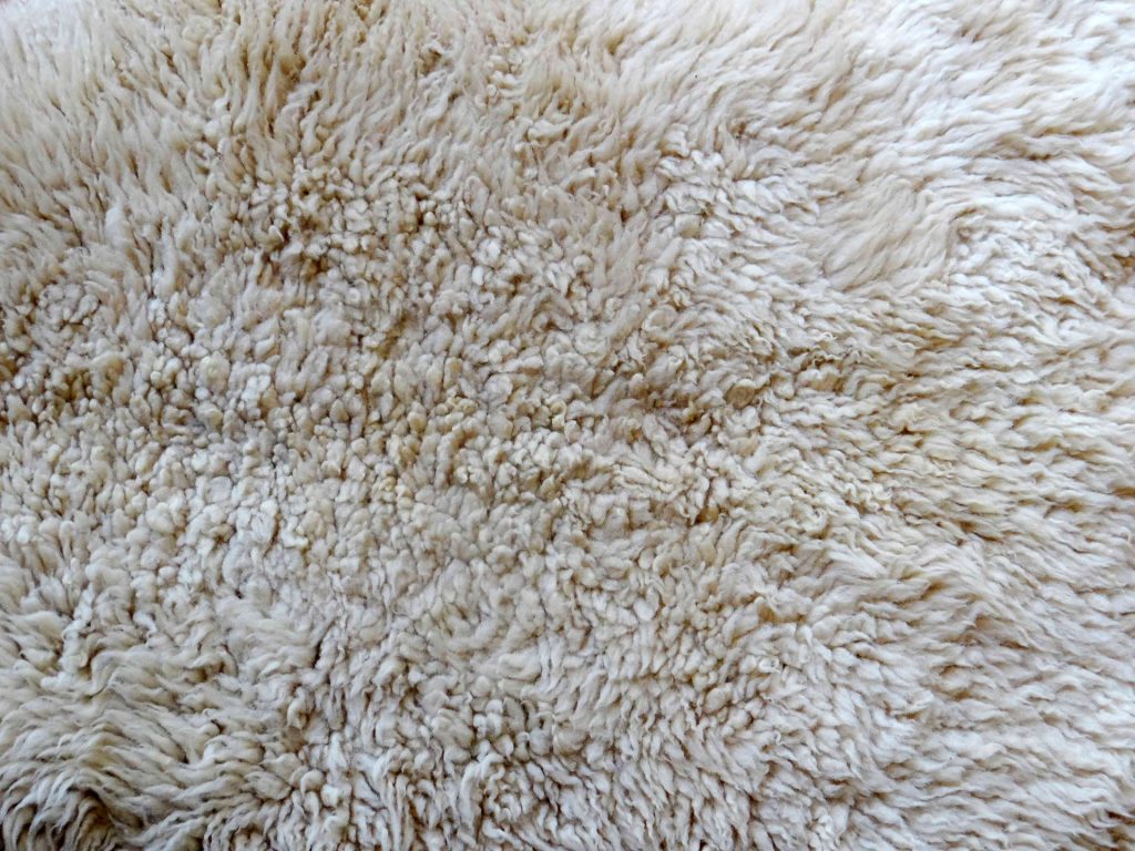the use of a real shearling rug