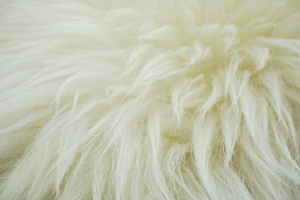 sheepskin fleece